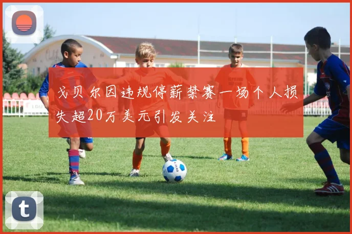 戈贝尔因违规停薪禁赛一场个人损失超20万美元引发关注