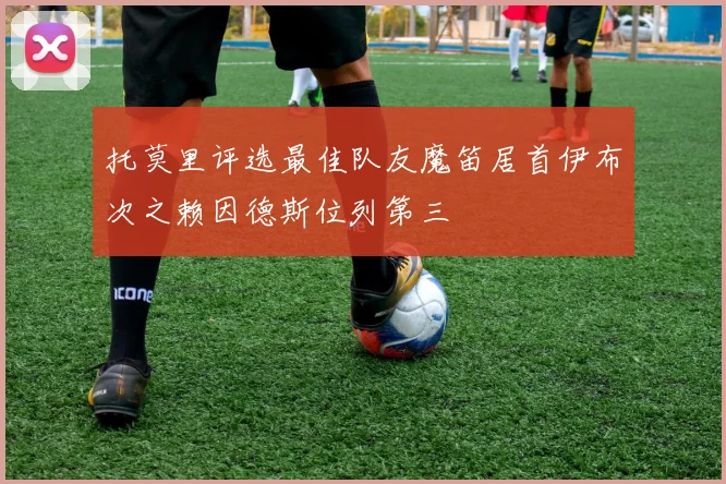 托莫里评选最佳队友魔笛居首伊布次之赖因德斯位列第三